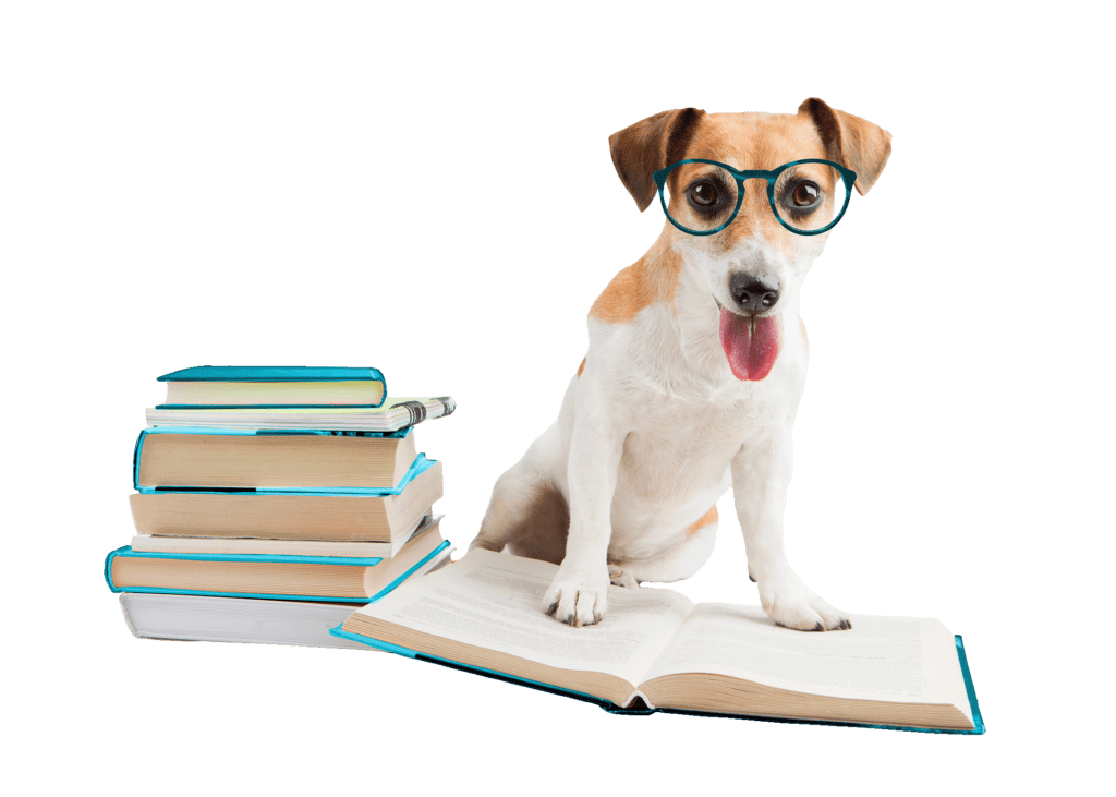 Dog Bookkeeping
