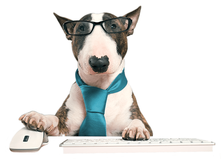 A dog with white and brindle fur wears black glasses and a turquoise necktie. Its right paw holds a computer mouse while its left paw rests on a keyboard.